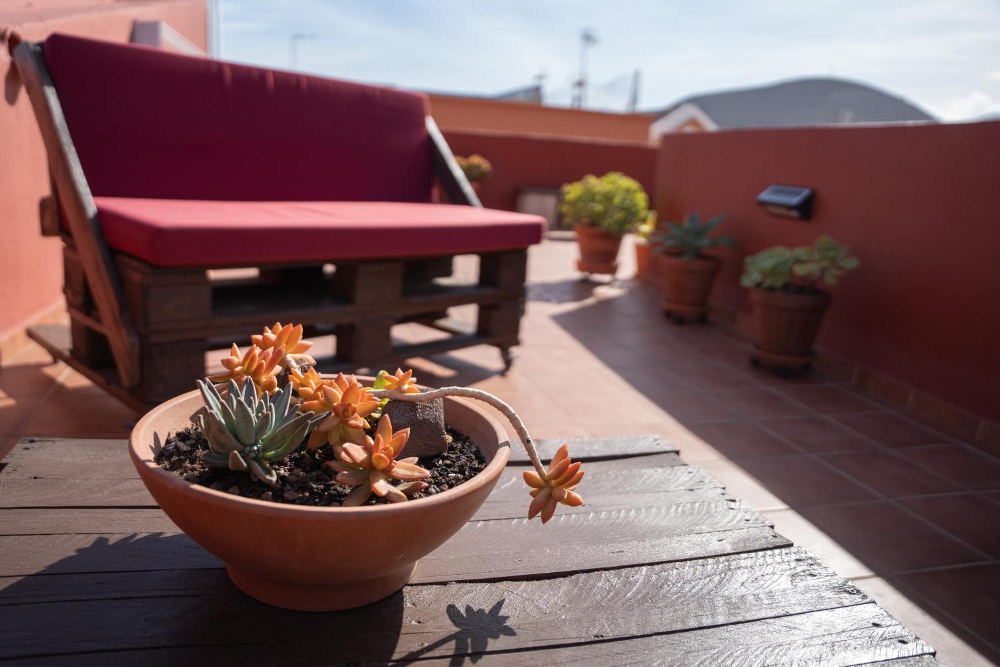 Tenohomes Rustic House With Terrace & Nature Views Buenavista Del Norte Luaran gambar